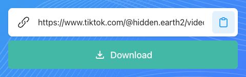 SnapTik download form with the link field and Paste control highlighted