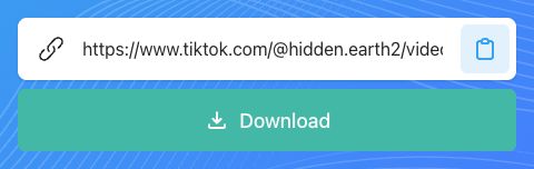 Campo do SnapTik para colar o link de uma publicação do TikTok