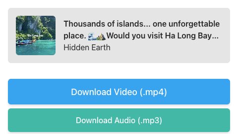 SnapTik result showing both the Download Video MP4 and Download Audio MP3 buttons